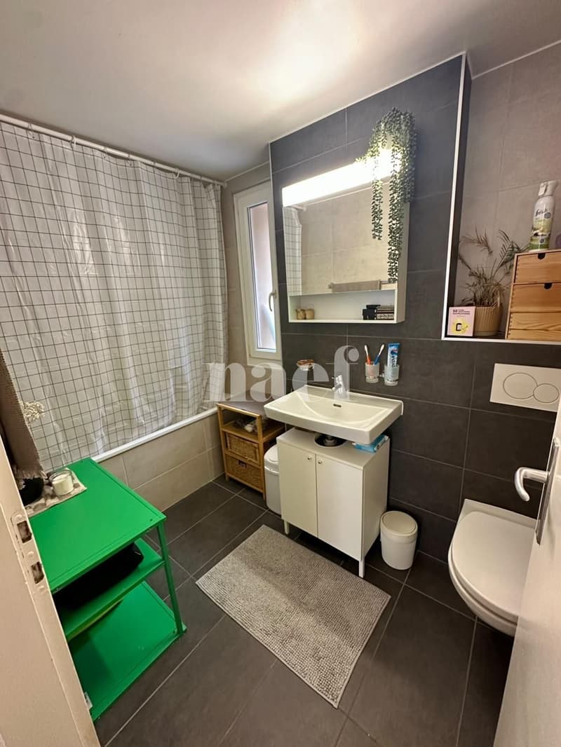 Bel appartement avec terrasse (7)