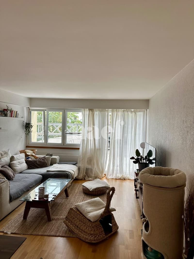 Bel appartement avec terrasse (1)
