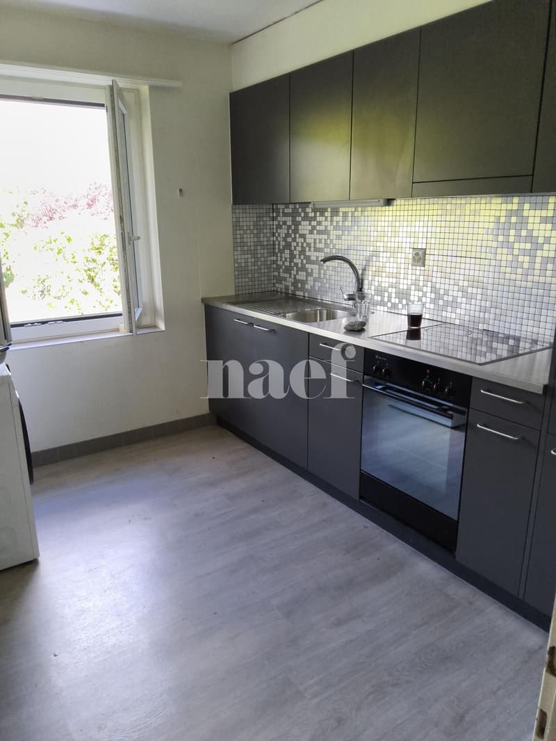 Agréable appartement de 3 pièces au premier étage (2)