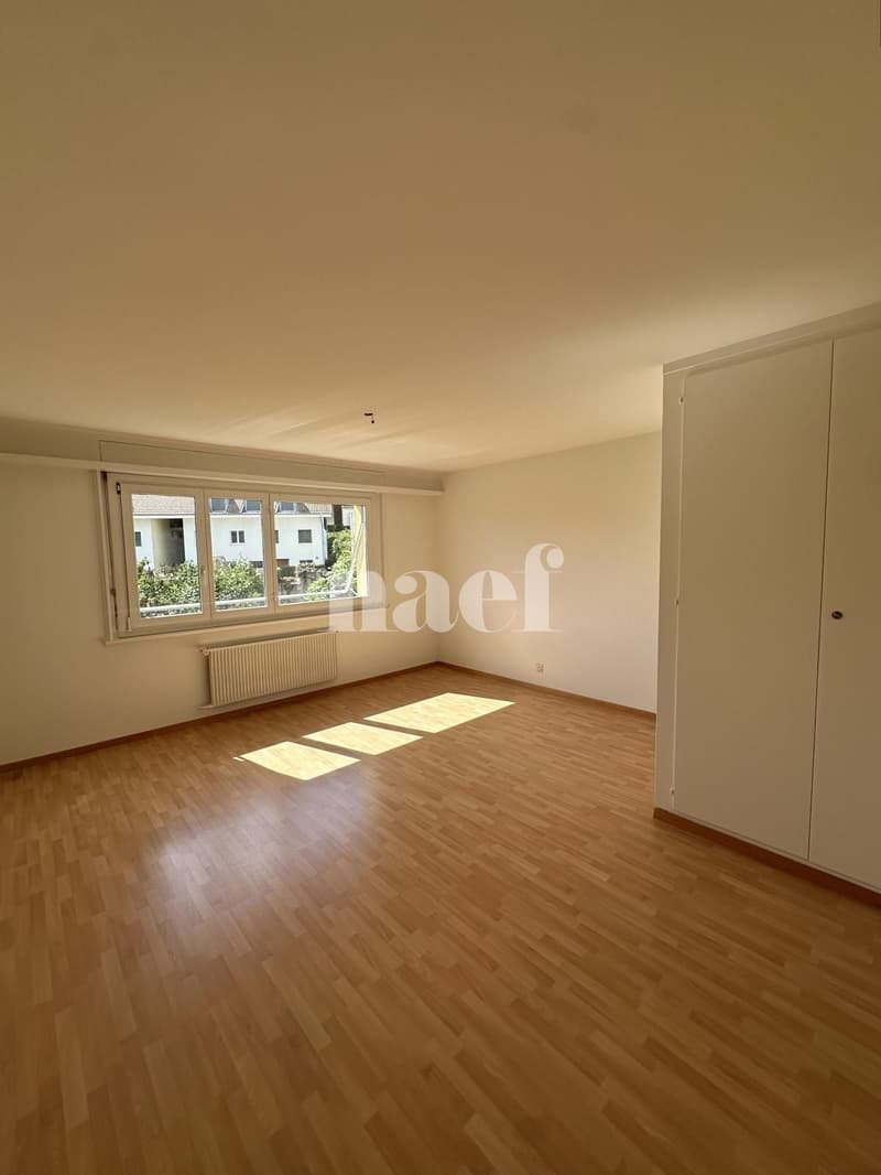 Appartement 3 pièces en duplex (6)