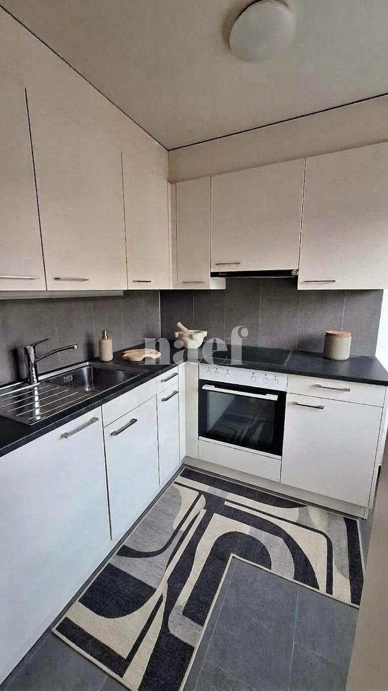 Bel appartement de 2.5 pièces complètement rénové (3)