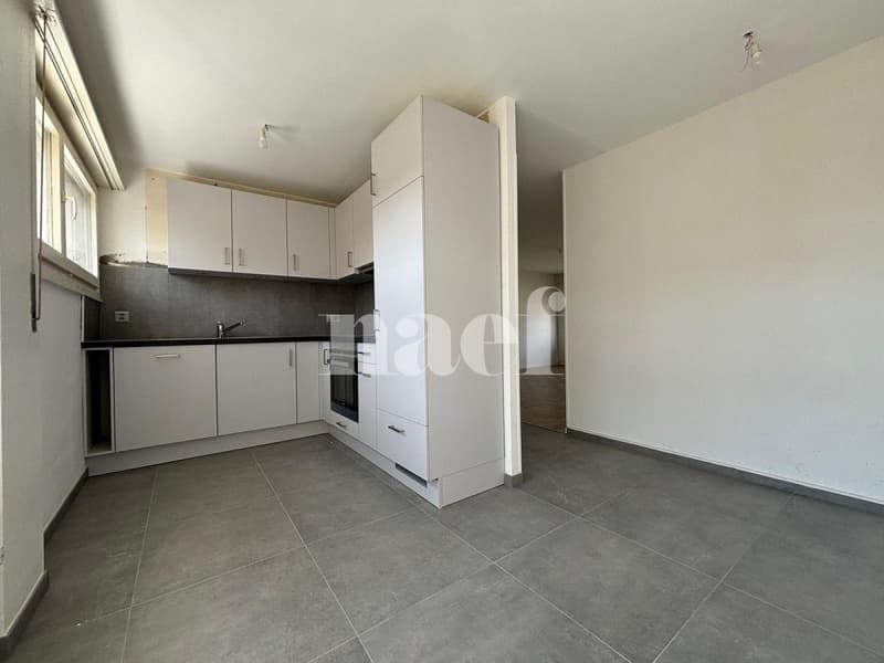 Appartement de 3.5 pièces à la Chaux-de-Fonds (1)
