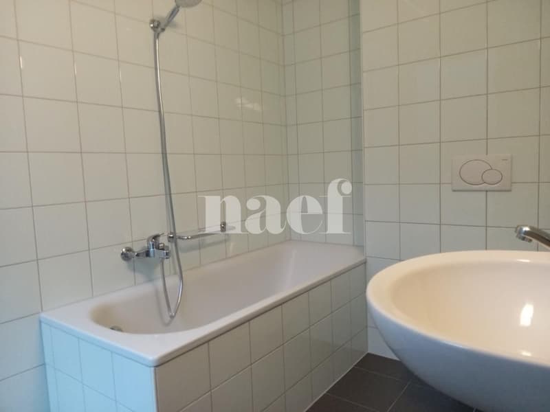 Occasion à saisir! Magnifique appartement proche de toutes commodités. (9)