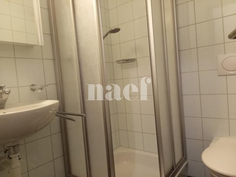 Occasion à saisir! Magnifique appartement proche de toutes commodités. (10)