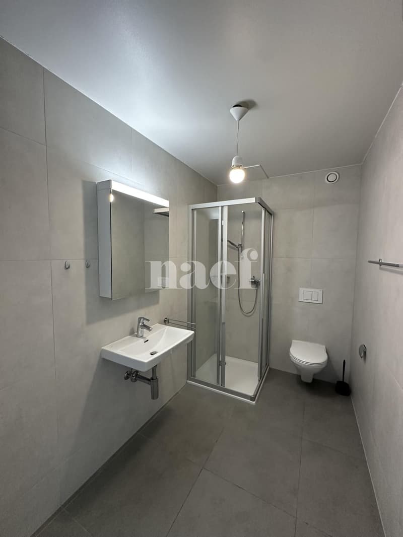 Appartement de 2.5 pièces au 2ème (4)