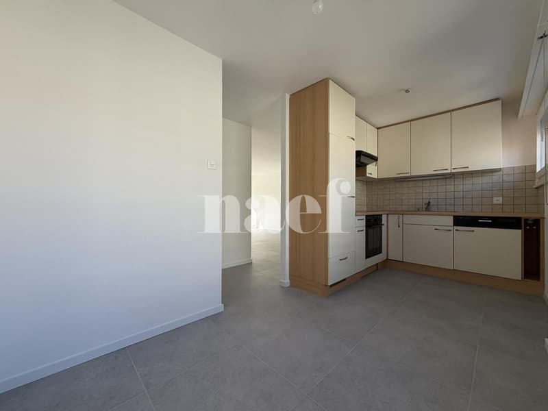 RENOVE - Bel appartement lumineux de 3.5 pièces (2)
