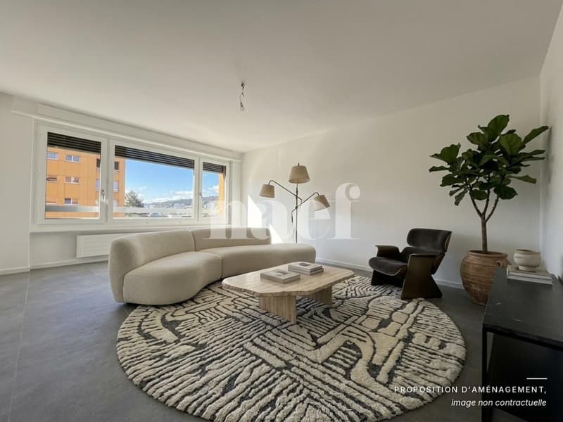 RENOVE - Bel appartement lumineux de 3.5 pièces (1)