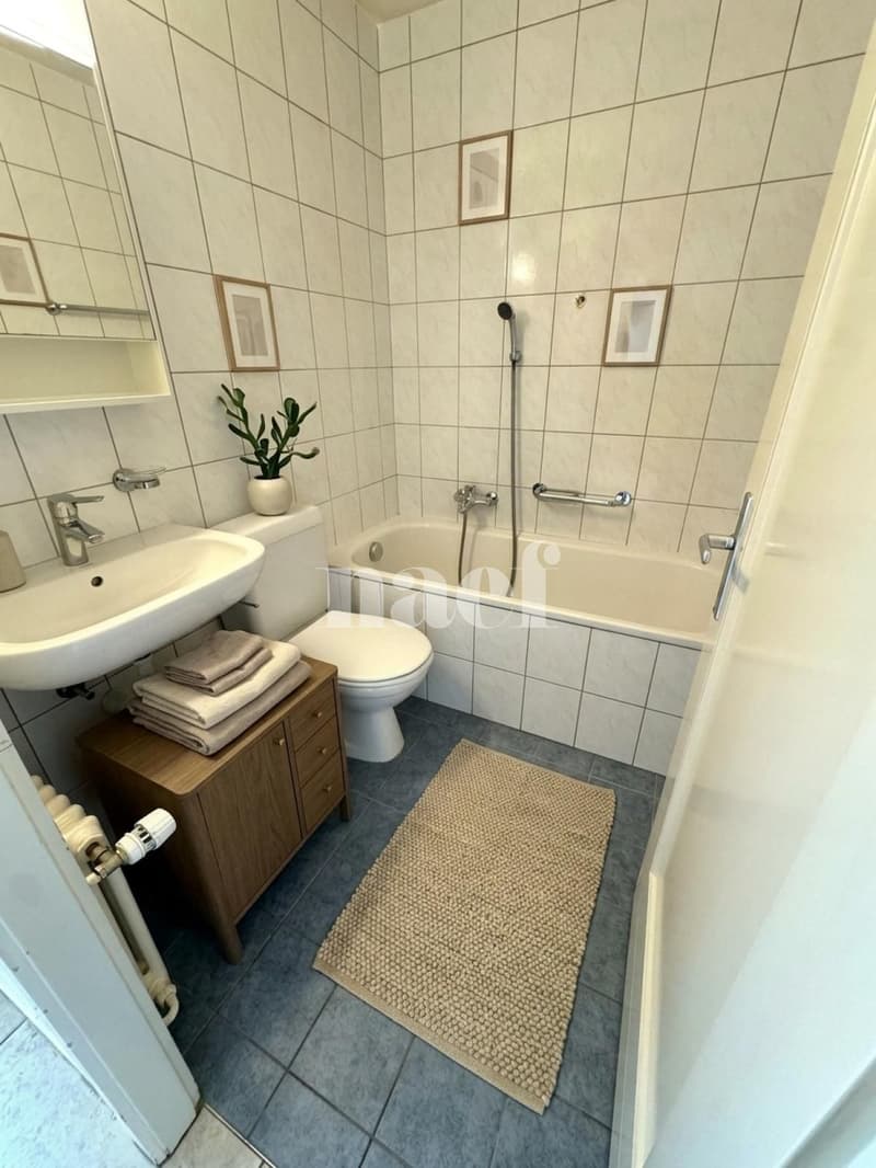 Appartement de 2.5 pièces au 4ème étage (6)