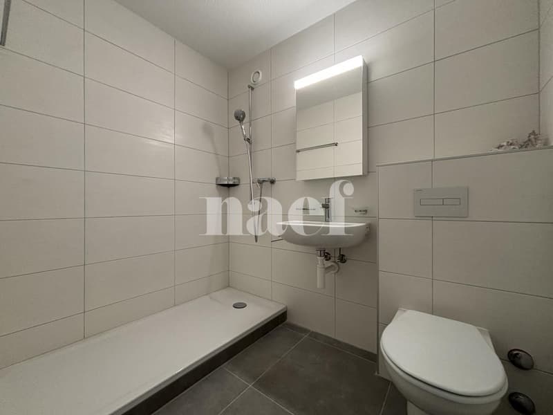 Appartement de 2 pièces idéalement situé à proximité du centre-ville de Neuchâtel (4)