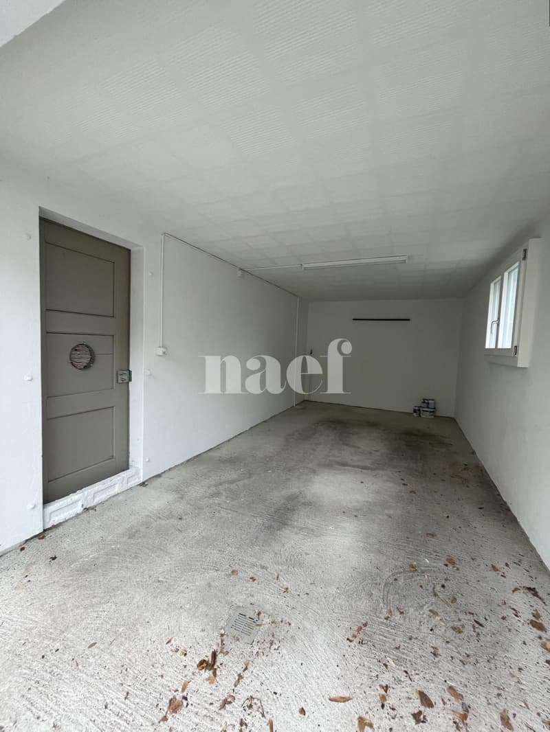 Garage individuel (3)