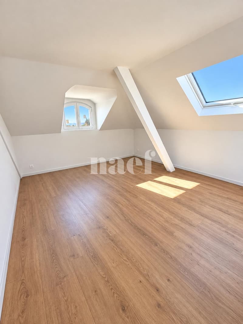 Appartement rénové avec charme, balcon et belle vue sur le lac et les montagnes (4)
