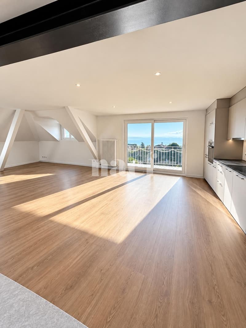 Appartement rénové avec charme, balcon et belle vue sur le lac et les montagnes (2)