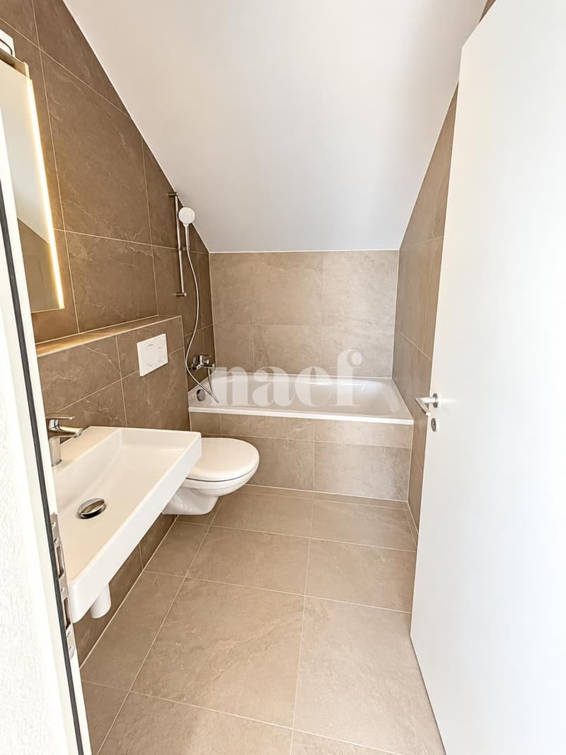 Appartement rénové avec charme, balcon et belle vue sur le lac et les montagnes (5)
