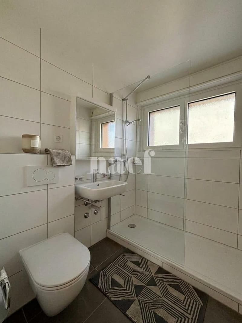 Magnifique appartement de 3.5 pièces entièrement rénové La Chaux-de-Fonds (5)