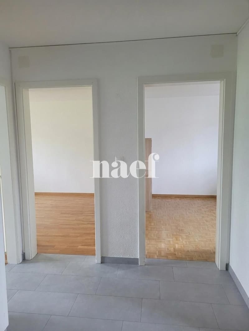 Appartement de 3 pièce avec vue dégagée (3)