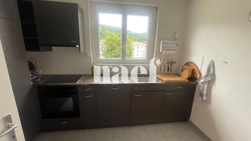 Appartement de 3 pièce avec vue dégagée (1)
