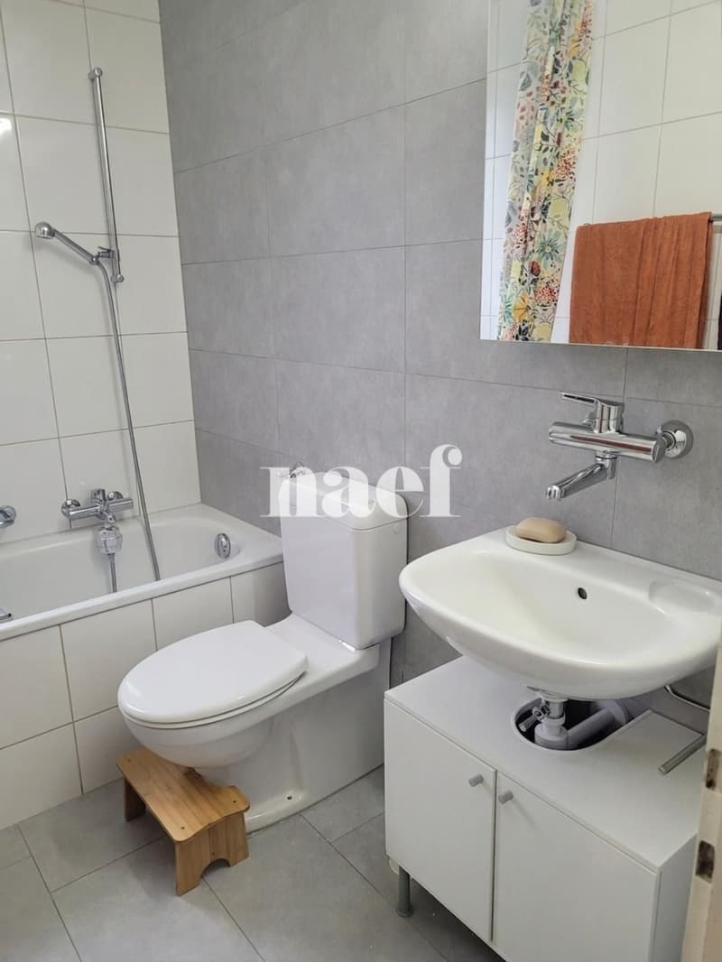 Appartement de 3 pièce avec vue dégagée (2)