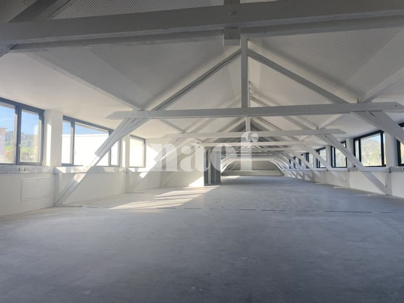 Büros mit 622 m2 und sichtbaren Balken (6)