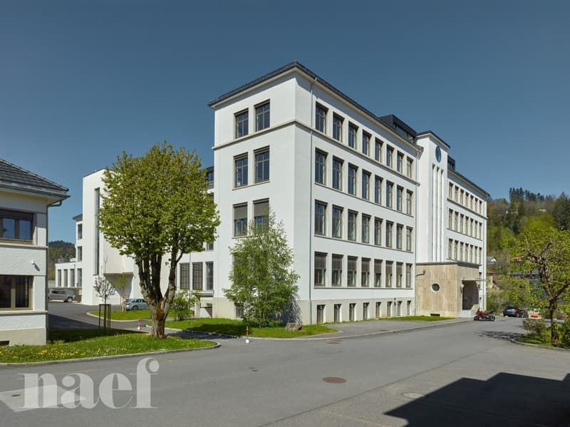 Büros mit 622 m2 und sichtbaren Balken (2)