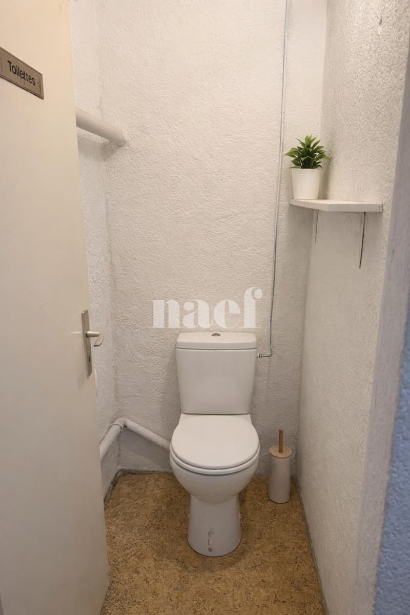 Commercial premises with window and independent entrance (5)