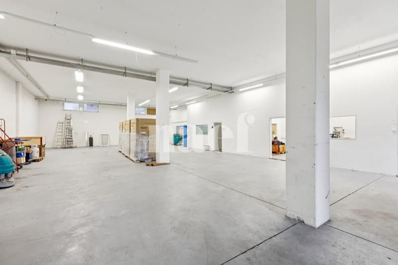 Nouvelle surface commerciale disponible de 380 m2 (4)