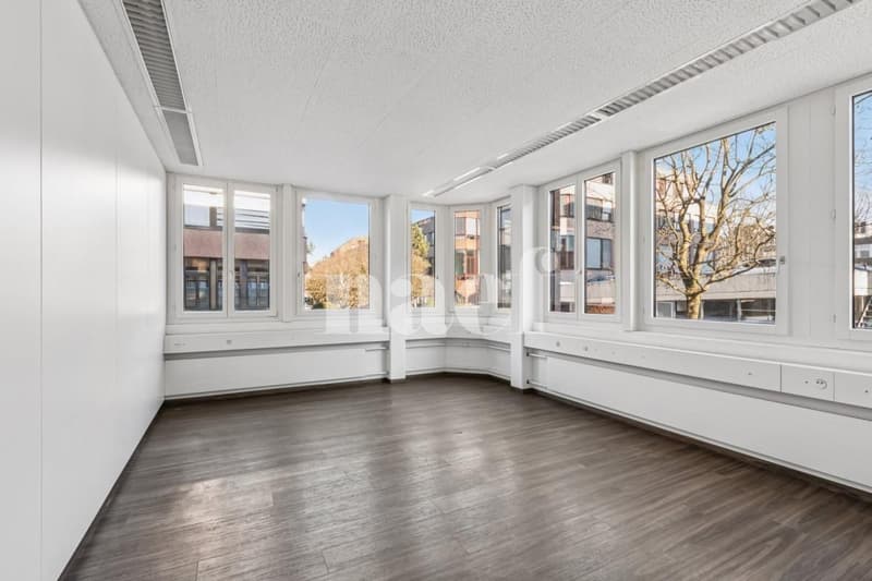 New commercial space available of 534 m2 (8)