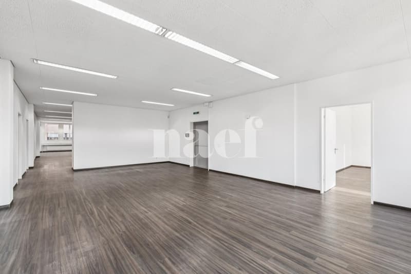 New commercial space available of 534 m2 (5)