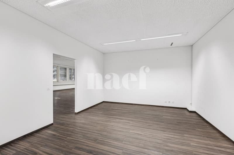 New commercial space available of 534 m2 (6)