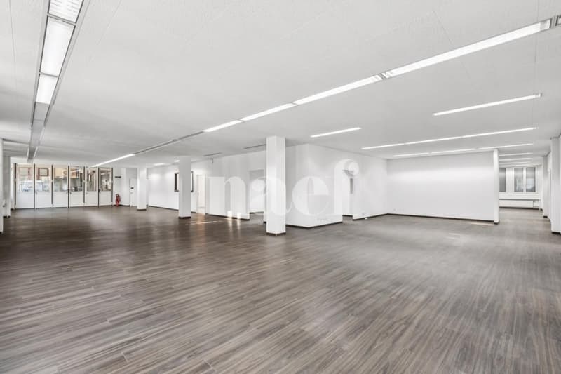 New commercial space available of 534 m2 (3)