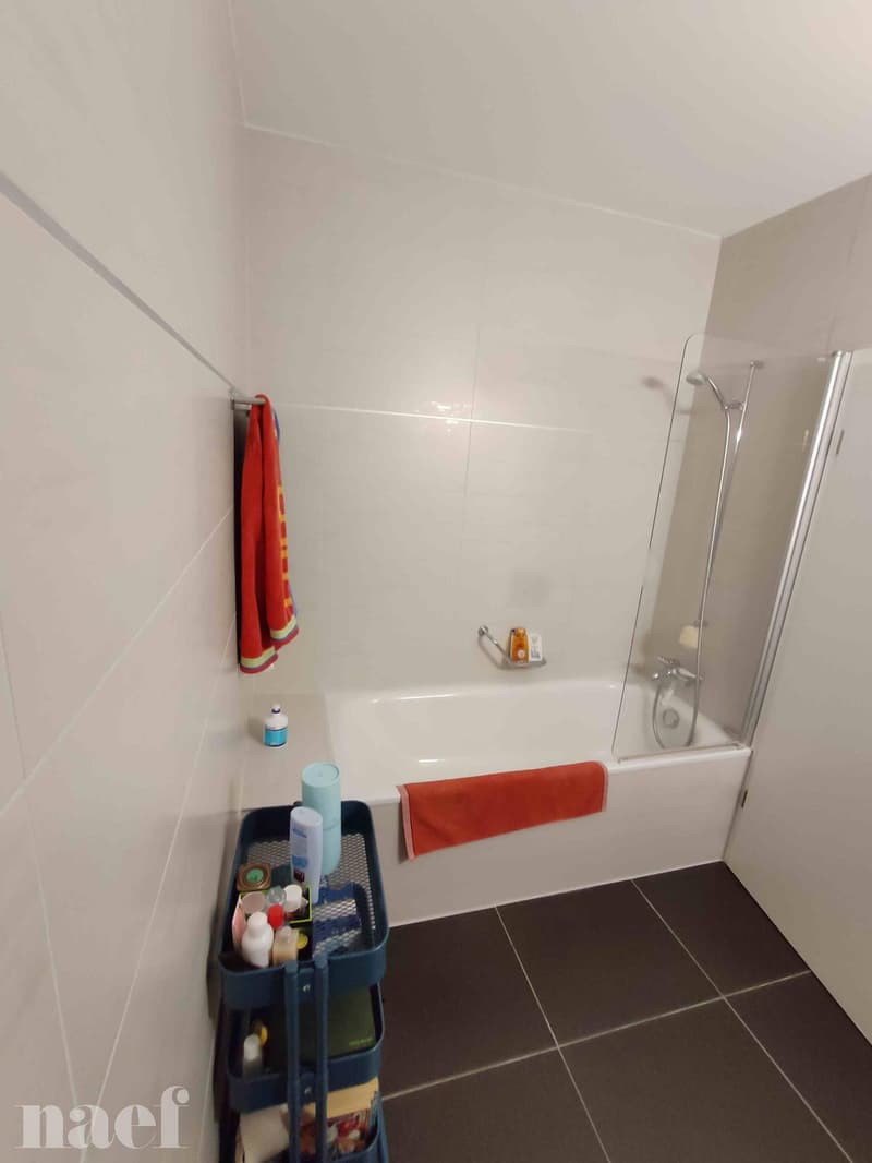 Schönes Apartment im Zentrum des Dorfes mit 3 Räumen von ca. 82m2 im 3. Stock mit gemeinsamem Garten (9)