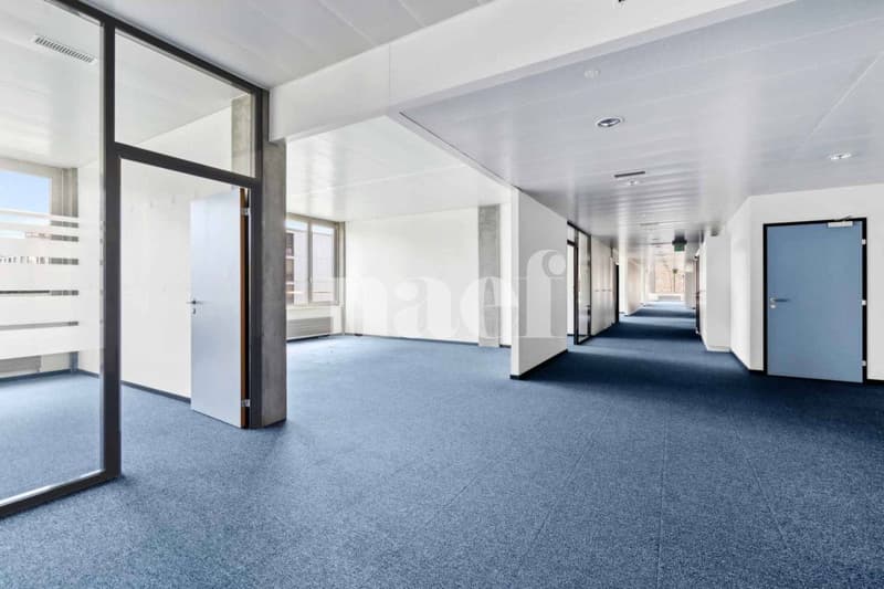 Résidence de Précossy - Prächtige modulare Fläche von ca. 333 m2 im 1. Stock (3)