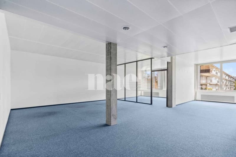 Résidence de Précossy - Prächtige modulare Fläche von ca. 333 m2 im 1. Stock (4)
