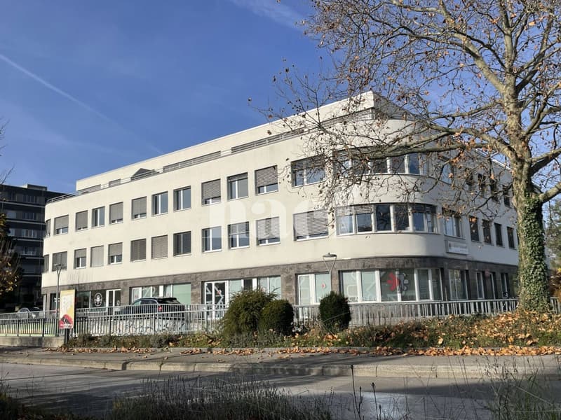Zentrum Les Tuillières - Helle Fläche von ca. 283m2, modulierbar im 2. Stock eines Gewerbegebäudes (1)