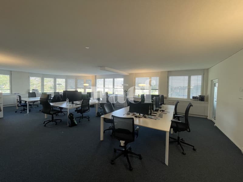 Zentrum Les Tuillières - Helle Fläche von ca. 283m2, modulierbar im 2. Stock eines Gewerbegebäudes (4)