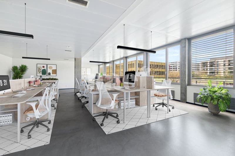 Précossy - Etage komplett von ca. 838m2 im 1. Stock unterteilt in mehrere Büros (2)