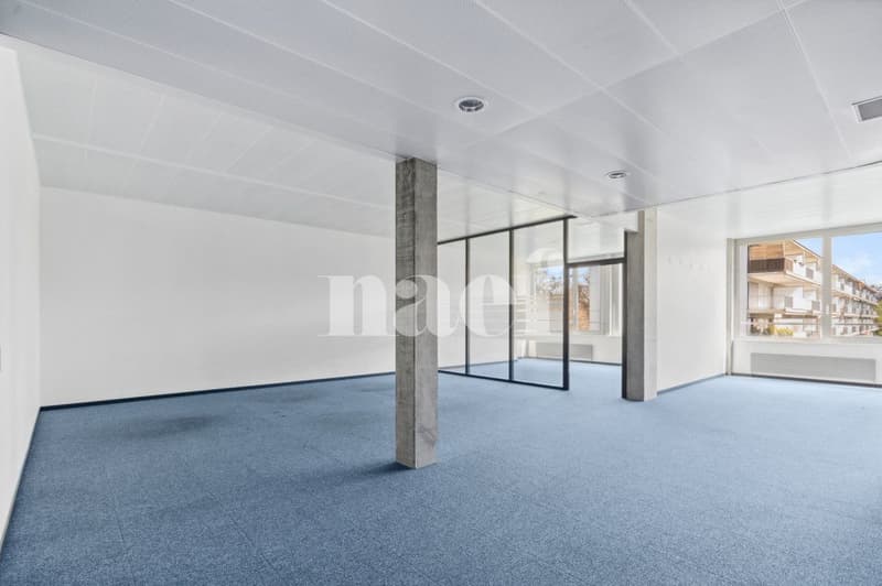 Précossy - Etage komplett von ca. 838m2 im 1. Stock unterteilt in mehrere Büros (9)