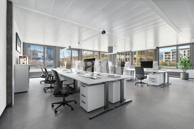 Précossy - Etage komplett von ca. 838m2 im 1. Stock unterteilt in mehrere Büros (3)