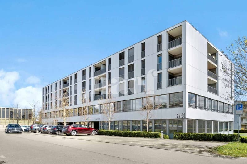 Prachtvolles Büro von ca. 513 m2 im 1. Stock (2)