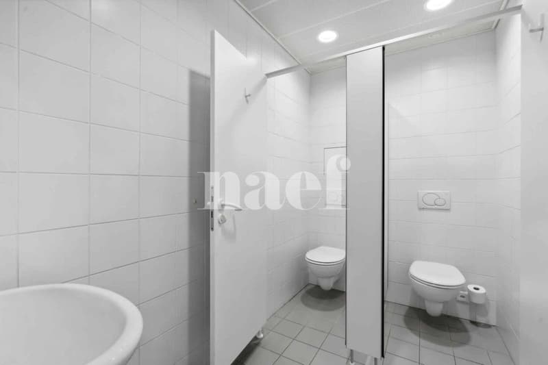 Prachtvolles Büro von ca. 513 m2 im 1. Stock (6)