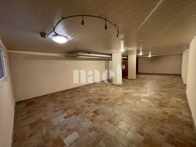 Large heated storage/local room in the basement with kitchenette and toilet (3)
