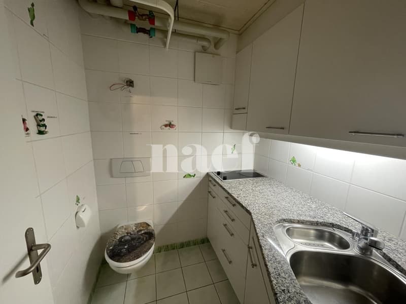 Large heated storage/local room in the basement with kitchenette and toilet (2)