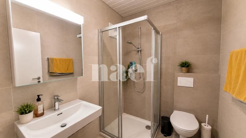 Beautiful 4-room attic apartment with large balcony and lake view (7)