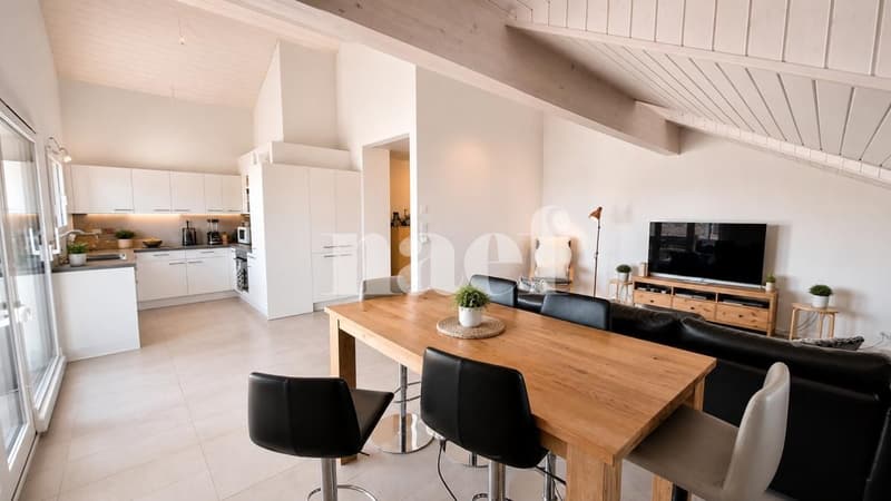 Beautiful 4-room attic apartment with large balcony and lake view (3)