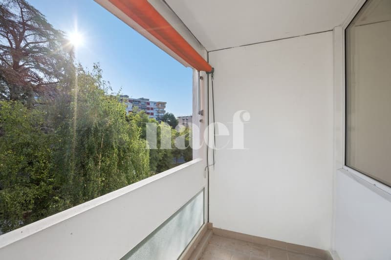 Piacevole appartamento di 2.5 locali al 4° piano con balcone (2)