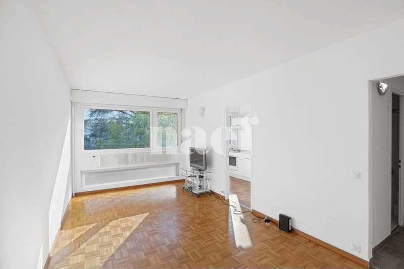 Piacevole appartamento di 2.5 locali al 4° piano con balcone (5)