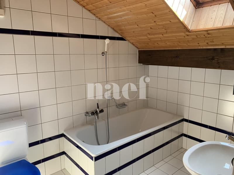 Incantevole appartamento duplex mansardato di 3 locali con balcone e vista campagna (6)