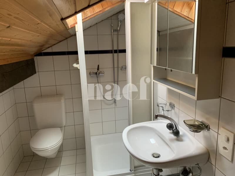 Incantevole appartamento duplex mansardato di 3 locali con balcone e vista campagna (7)