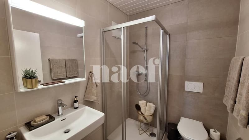 Bello appartamento di 4 locali nel sottotetto con ampio balcone e vista lago (8)