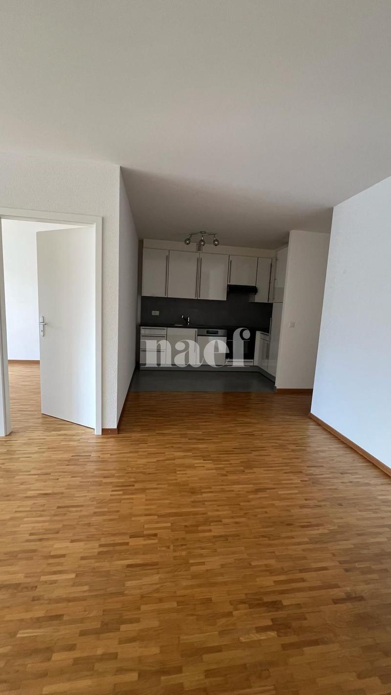 Bello appartamento di 3 locali al 2° piano con ampio balcone (4)