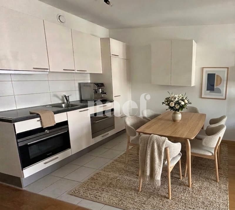 Beautiful recent 2.5-room apartment of approx. 45m2 on the 3rd floor (1)